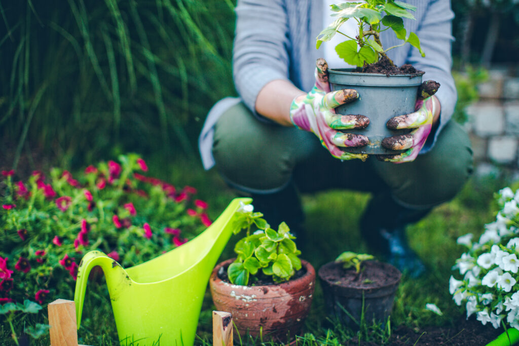 Hilfe bei Gartenarbeiten und Pflanzen